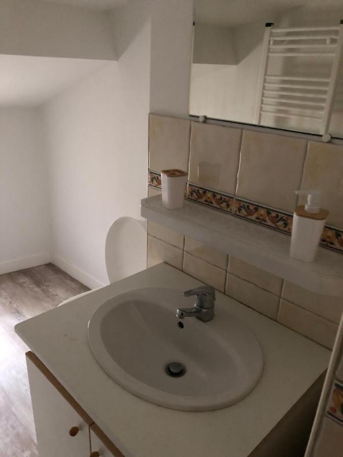 Appartement Cosy Et Lumineux Caussens ภายนอก รูปภาพ